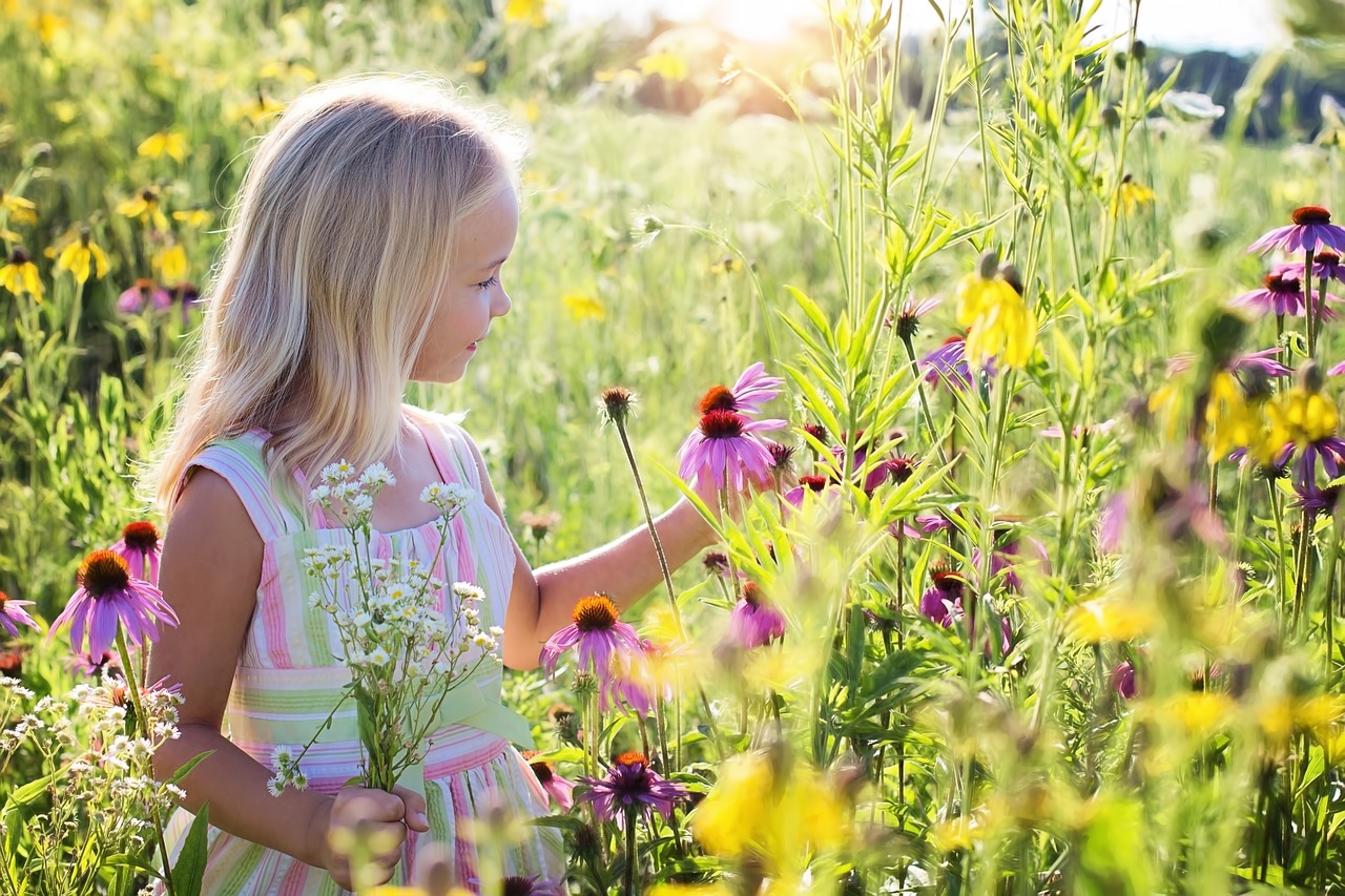 Girl in a meadow picking purple flowers.